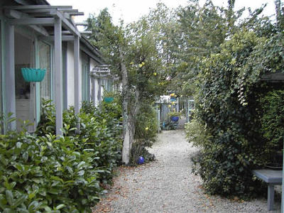 Haus im Efeu
