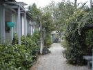 L�beck: Haus im Efeu